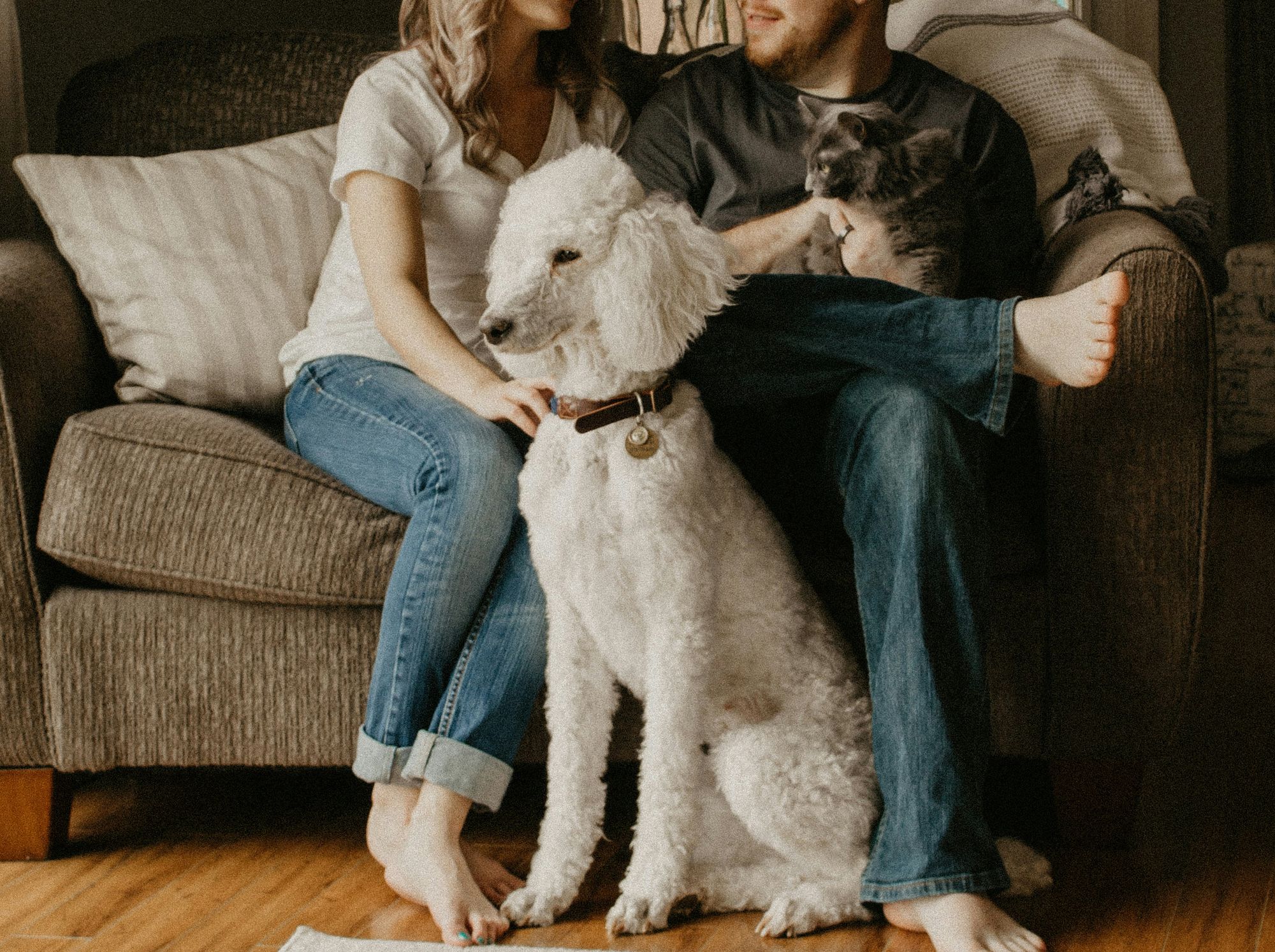Original photo: couple with poodles on a couch